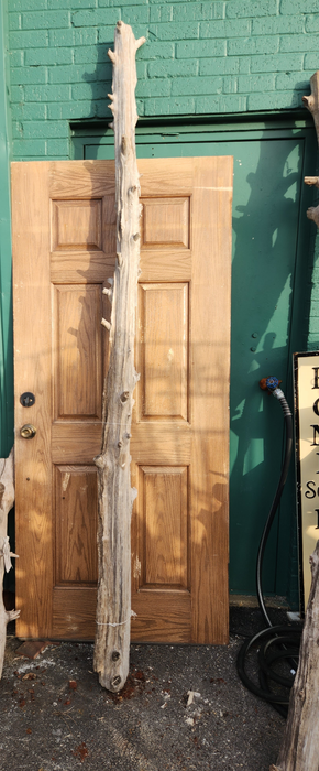 TALL DRIFTWOOD POST - EACH