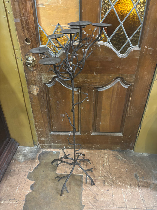 TALL CANDLEABRA TREE