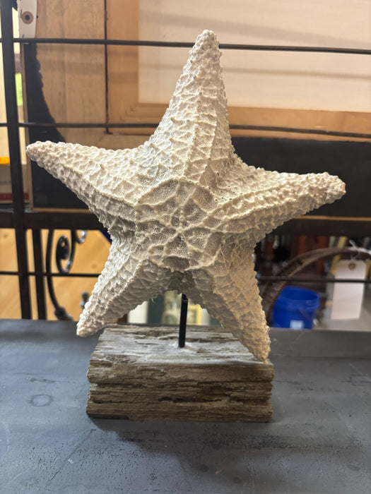 WHITE STAR FISH ON WOOD STAND