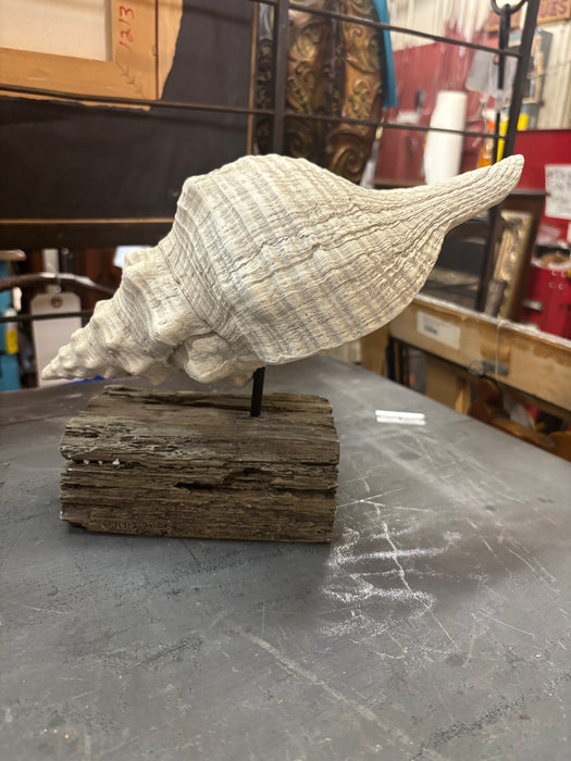WHITE CONCH SHELL ON WOOD STAND