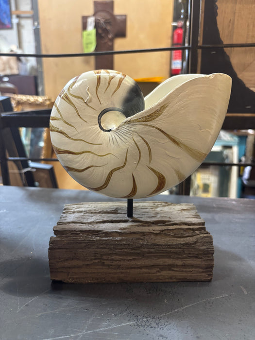 NAUTILUS SHELL ON WOOD STAND
