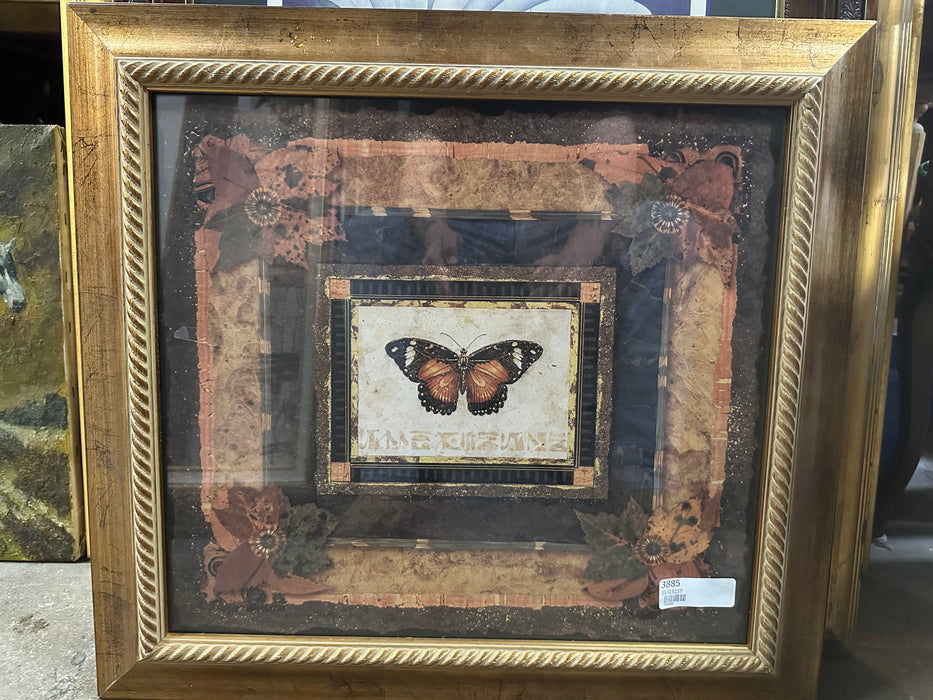 FRAMED PRINT OF BUTTERFLY