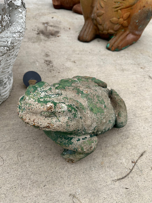GREEN CONCRETE FROG