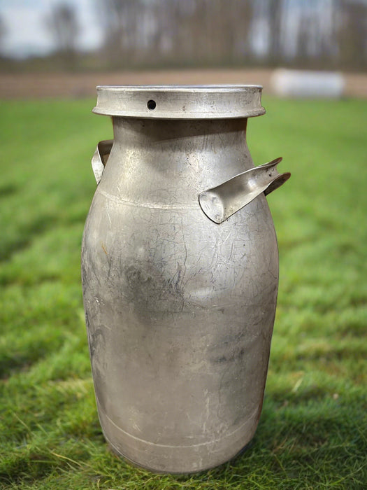 STAINLESS STEEL MILK CAN WITH LID