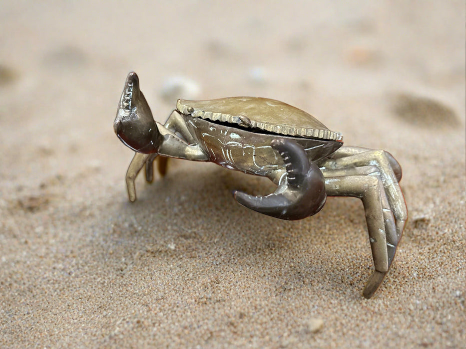LARGE BRASS CRAB BOX