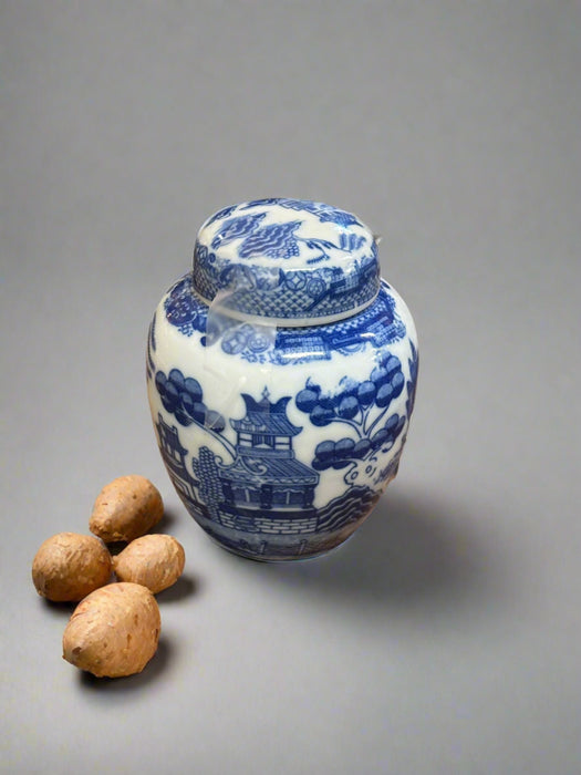SMALL ASIAN BLUE AND WHITE GINGER JAR