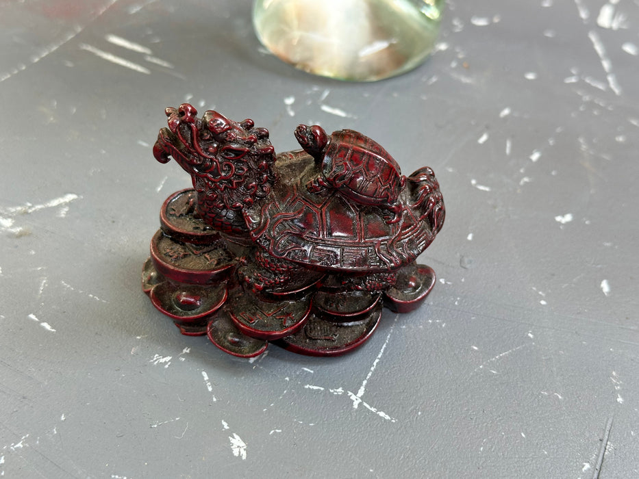 ASIAN CARVED DRAGON TORTOISE HYBRID