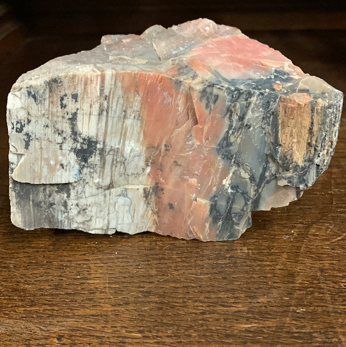 PETRIFIED WOOD