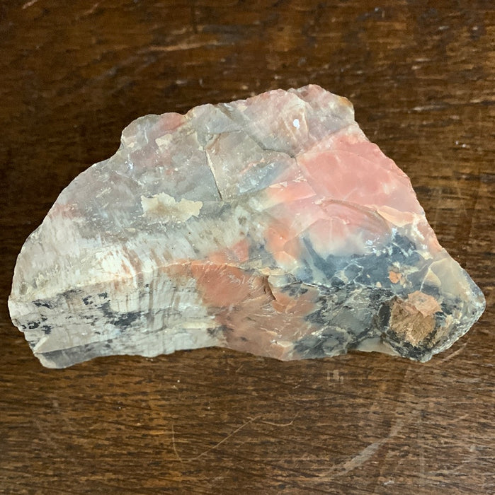 PETRIFIED WOOD