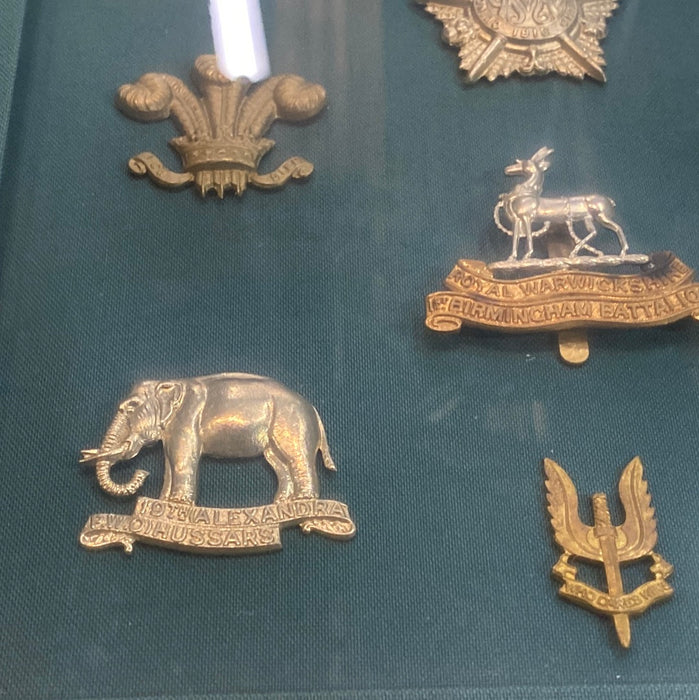 SHADOW BOX BRITISH MILTIARY EPAULETTES