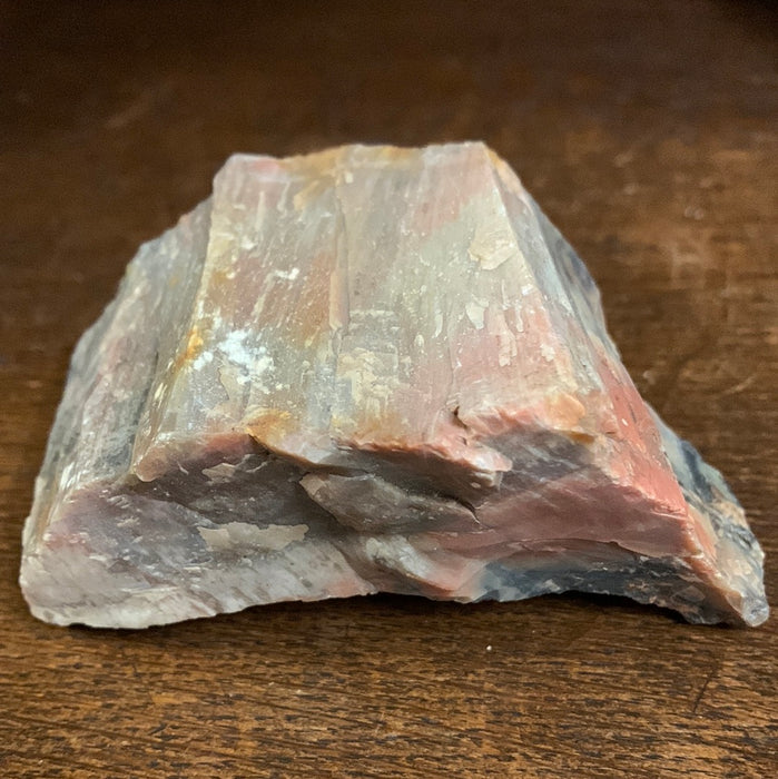 PETRIFIED WOOD