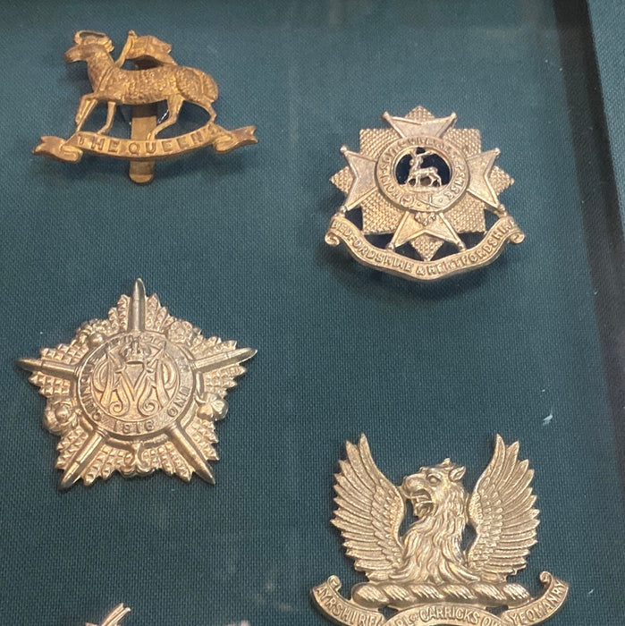 SHADOW BOX BRITISH MILTIARY EPAULETTES