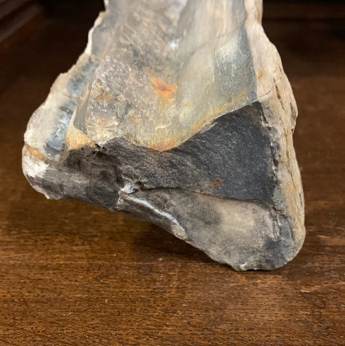 LARGE PETRIFIED WOOD