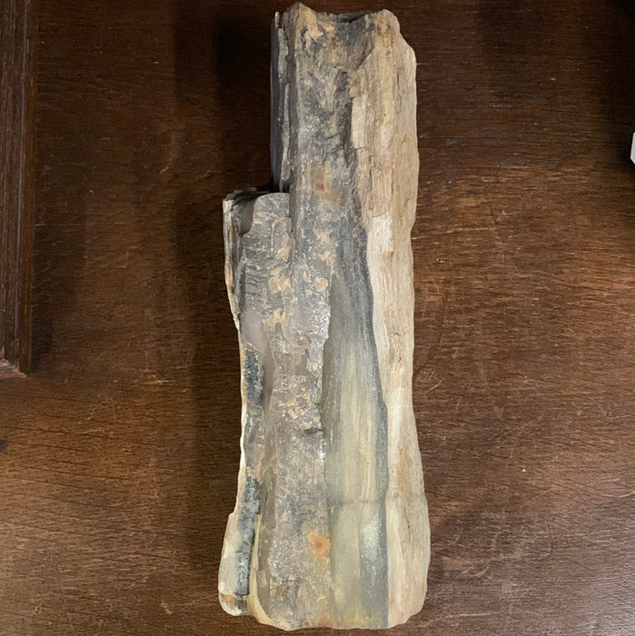 LARGE PETRIFIED WOOD