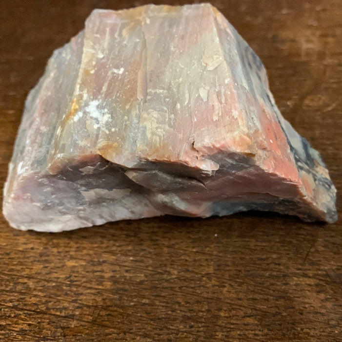 PETRIFIED WOOD