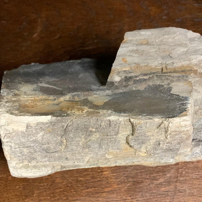LARGE PETRIFIED WOOD