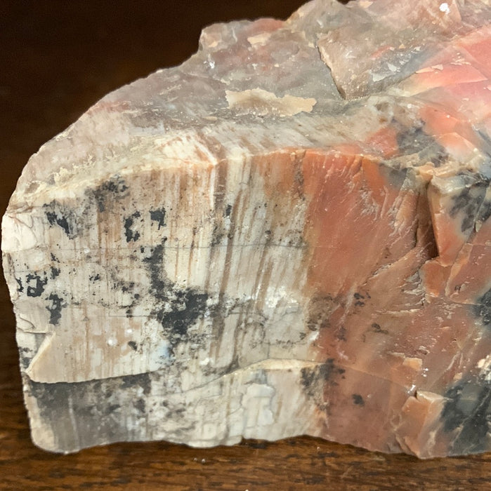 PETRIFIED WOOD