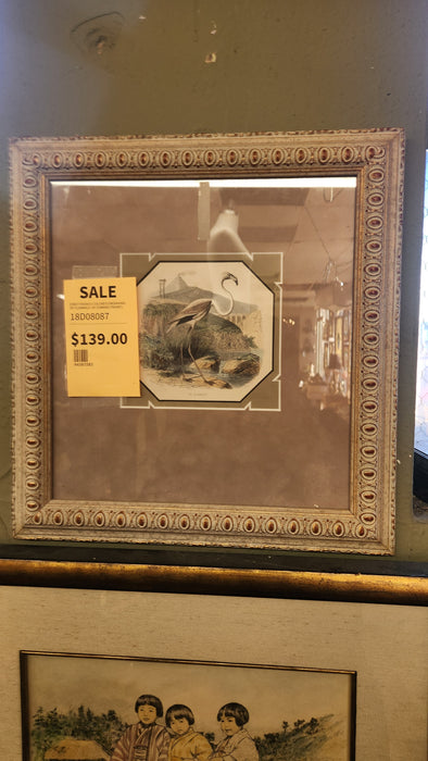 EARLY FRAMED COLORED ENGRAVING OF FLAMINGO  BY EDWARD TRAVIES