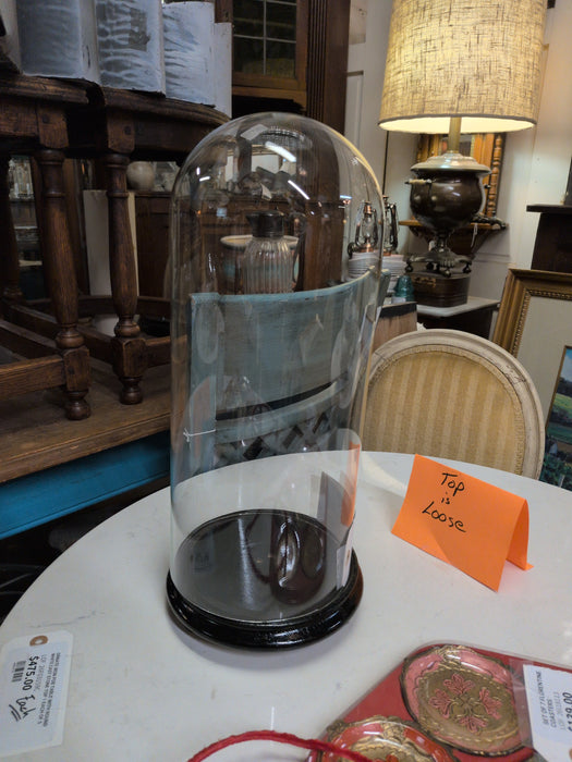 SMALL GLASS DOME