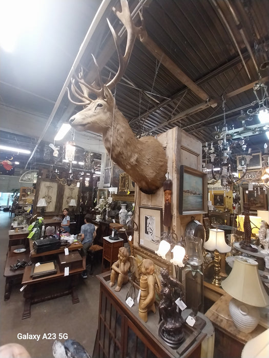 LARGE ELK MOUNT