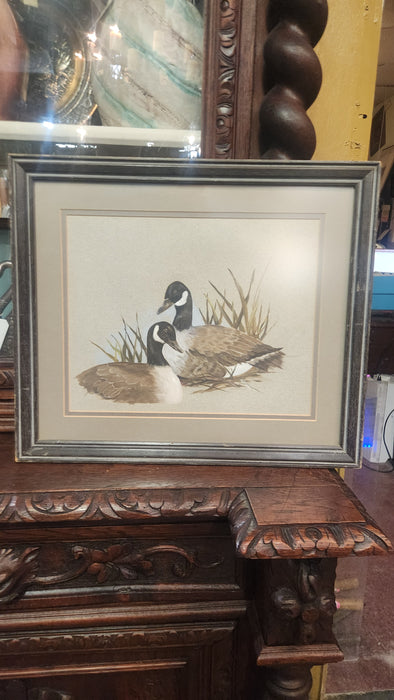 PICTURE OF TWO WOODLAND DUCKS
