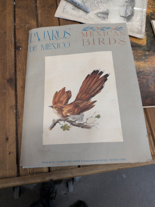 FOLIO OF 12 MEXICAN BIRD PRINTS
