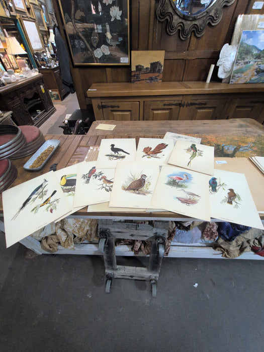 FOLIO OF 12 MEXICAN BIRD PRINTS