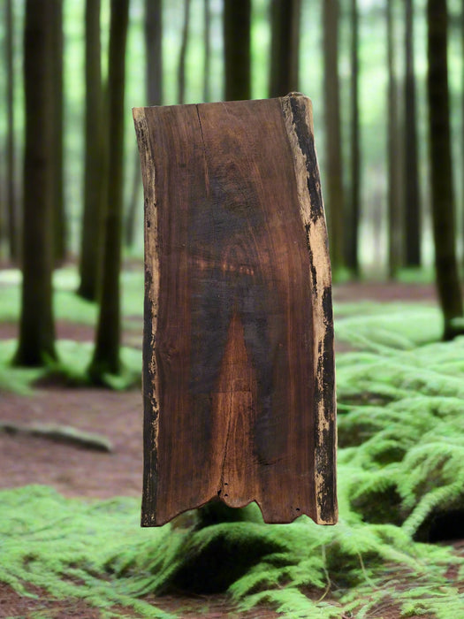 LARGE PIROTA WOOD SLAB TABLE TOP