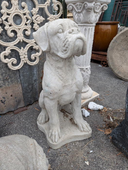 CONCRETE BOXER DOG