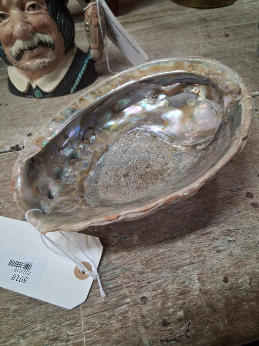 ABALONE SHELL