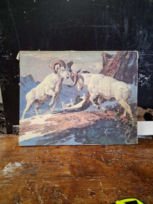 UNFRAMED GICLEE MOUNTAIN GOATS