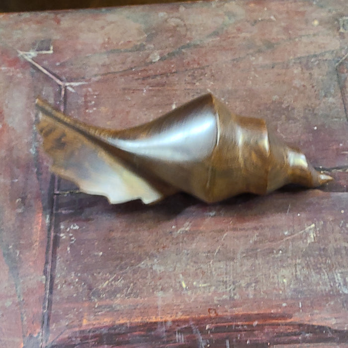 CARVED DARK WOOD SHELL
