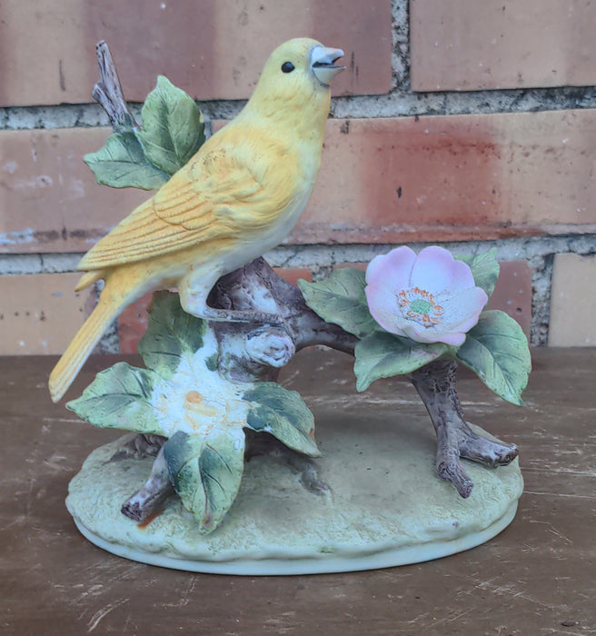 BISQUE CANARY BY ANDREA