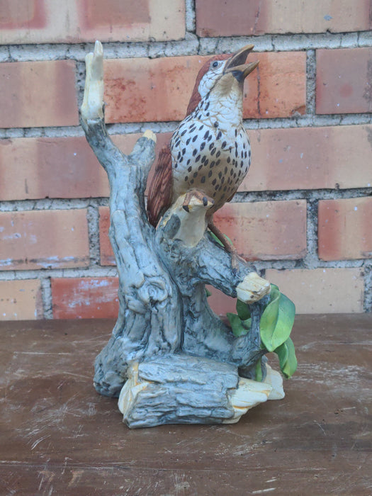 BISQUE WOOD THRUSH BY ANDREA