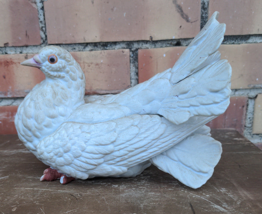 BISQUE DOVE AS FOUND
