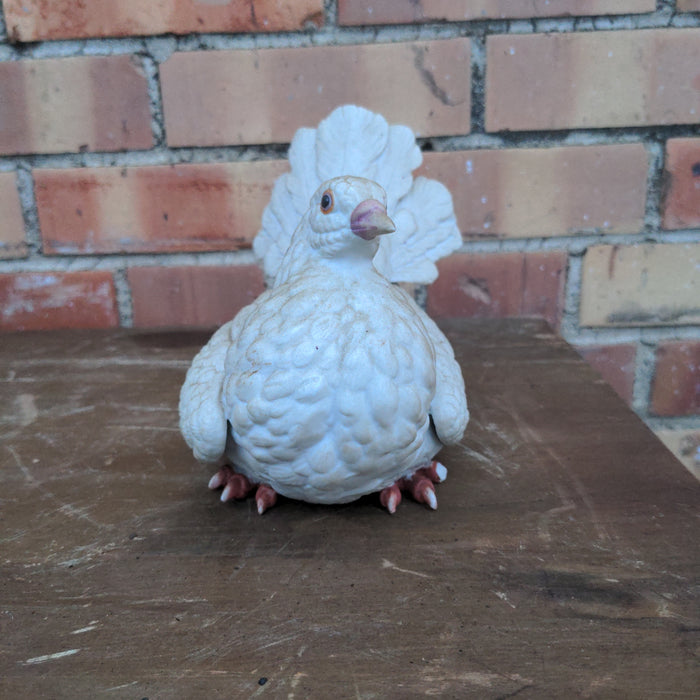 BISQUE DOVE AS FOUND