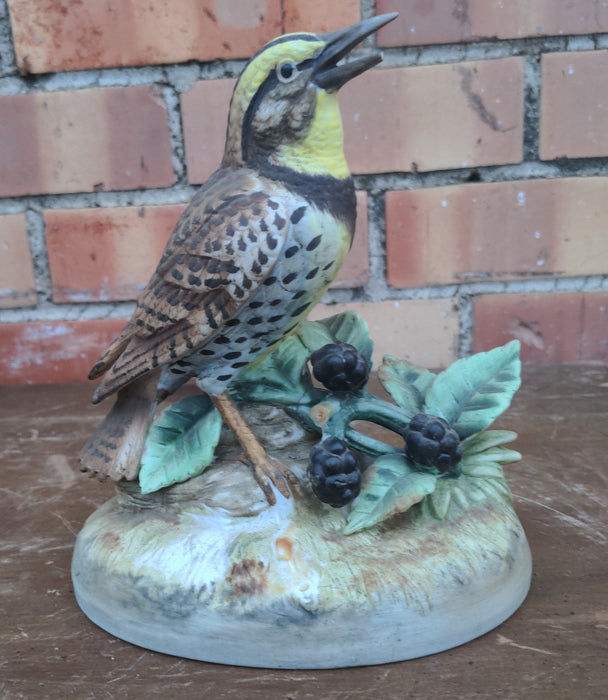 BISQUE MEADOWLARK BY ANDREA AS FOUND FOUND