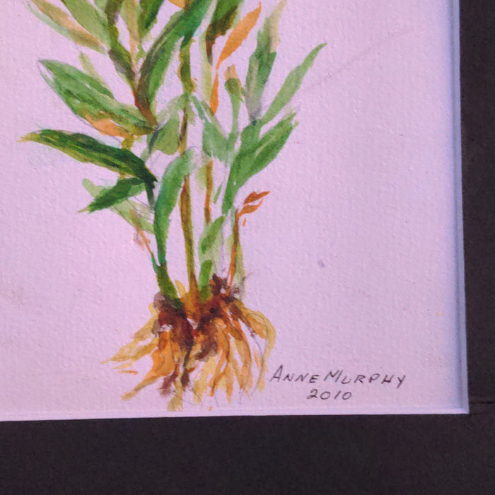 SMALL PRINT OF A GINGER PLANT