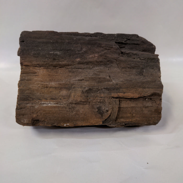 LARGE PIECE OF PETRIFIED WOOD