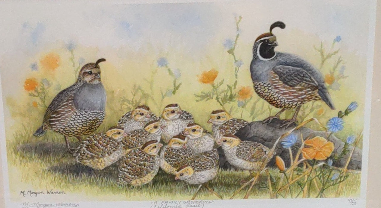 A FAMILY GATHERING (CALIFORNIA QUAIL) SIGNED PRINT MORGAN WARREN