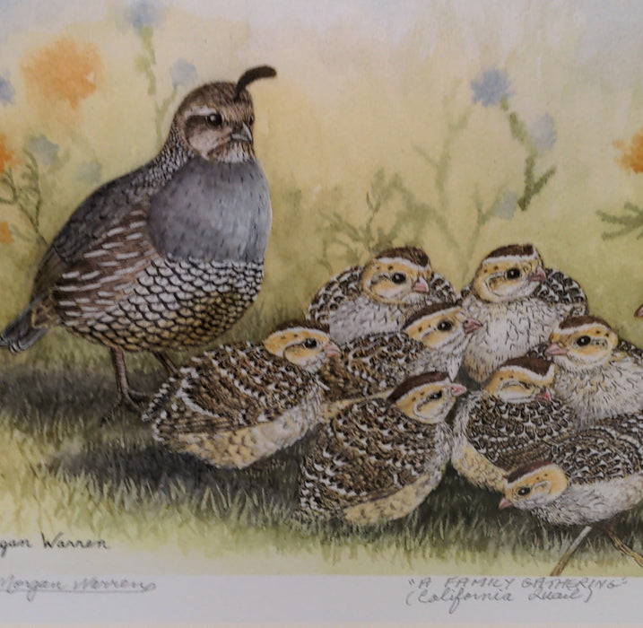 A FAMILY GATHERING (CALIFORNIA QUAIL) SIGNED PRINT MORGAN WARREN