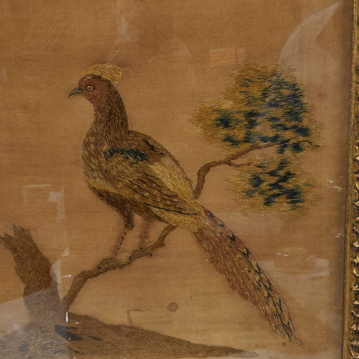 FRAMED ANTIQUE EMBROIDERY OF PHEASANT