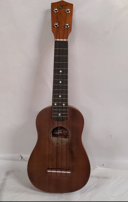 UKULELE - NOT OLD, WITH CARRYING CASE