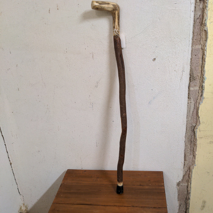 VINTAGE BRANCH WALKING STICK