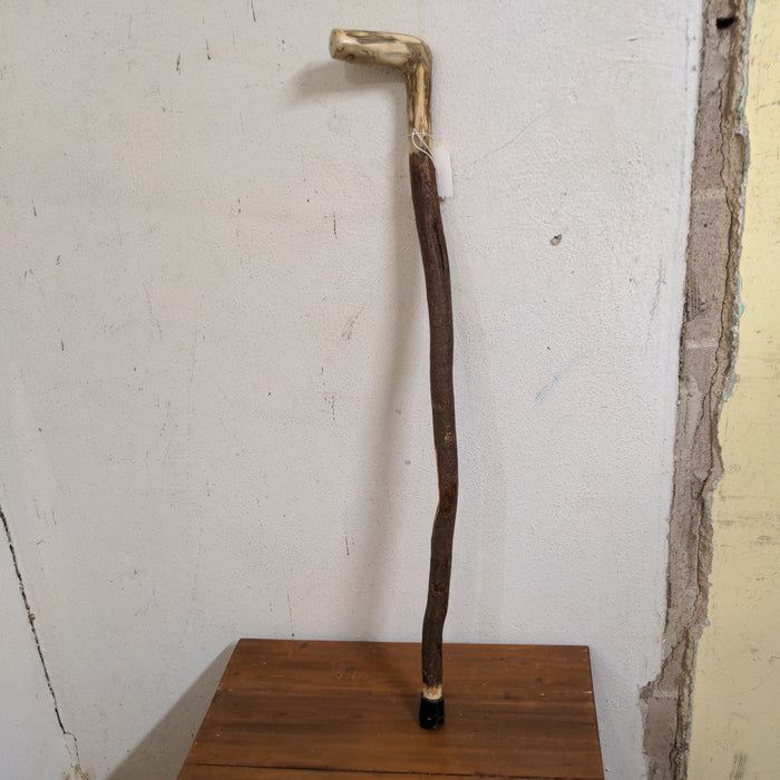 VINTAGE BRANCH WALKING STICK