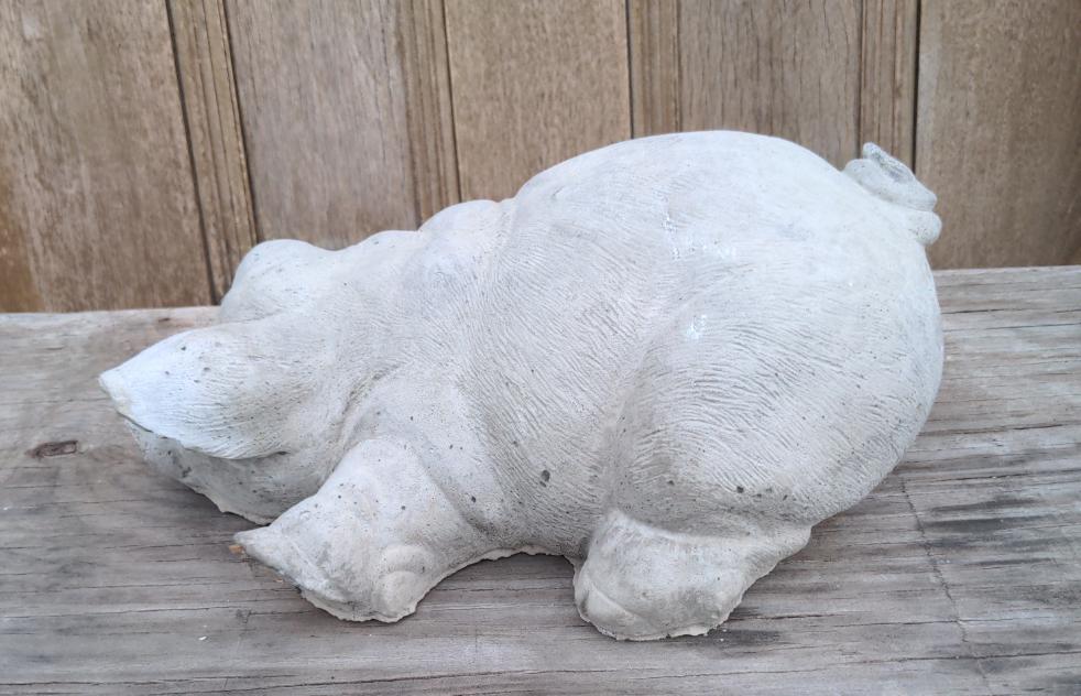 CONCRETE PIG