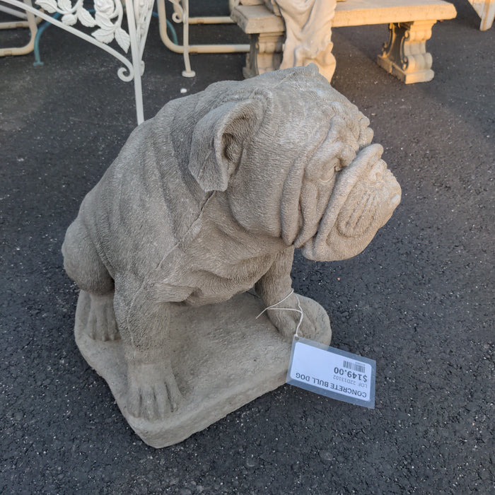 CONCRETE AMERICAN BULL DOG
