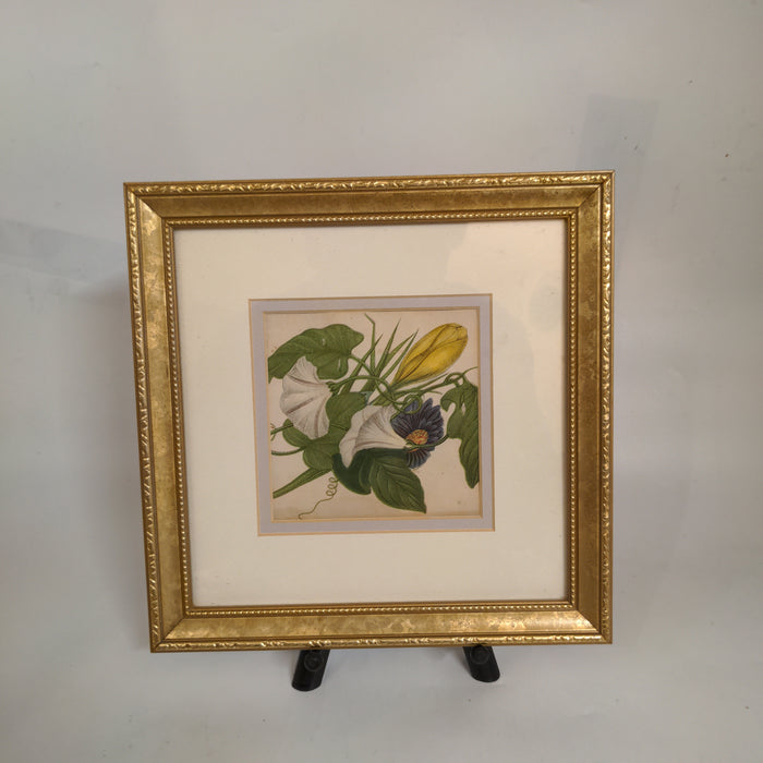 SMALL FRAMED FLORAL WATERCOLOR