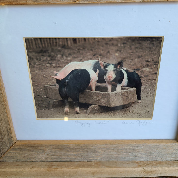 PIG PHOTO WITH RUSTIC FRAME