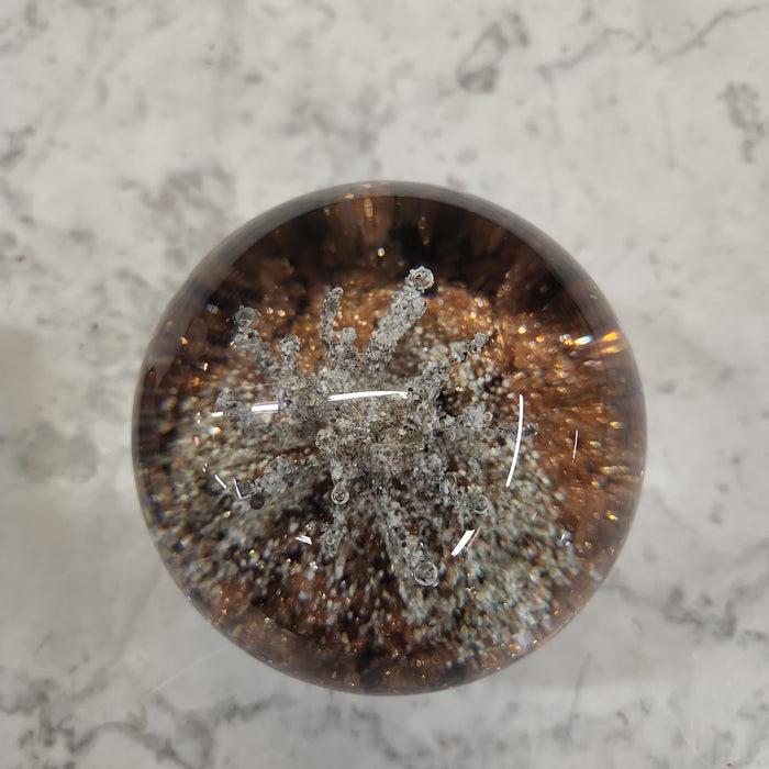 SILVER AND WHITE CORAL FORM PAPERWEIGHT